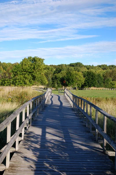 Pont Bois Menant Dans Les Bois Île Manitoulin Canada — Photo