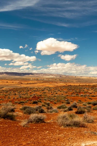 Çöldeki kırmızı toprakta hayatta kalan bitki örtüsü, Wahweap gözcüsü, Page, AZ