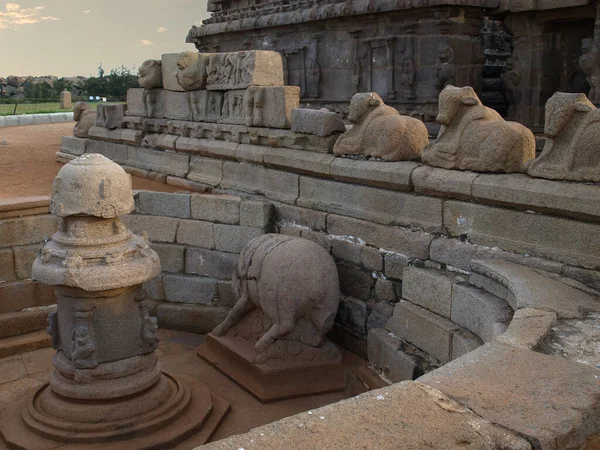 Bulls Carved Stone Intricate Stone Work Mamallapuram India — Stock Photo, Image