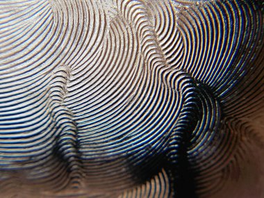 Plastik ve zemin camlarıyla etkileşen ışığın düz bir yüzeyde yarattığı dalgalanan desenler