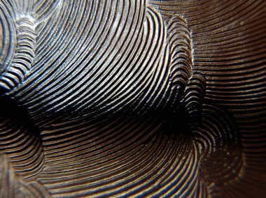 Zemin cam ve plastik film üzerindeki ışık tarafından oluşturulan ilginç etkileşim kalıpları