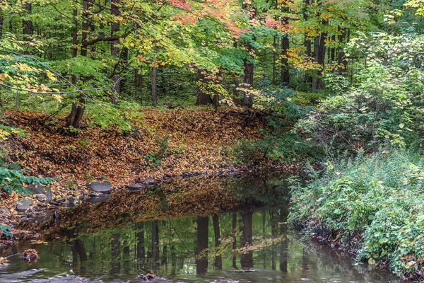 Ainda Riacho Serve Como Espelho Natureza Sua Beleza Canadá — Fotografia de Stock