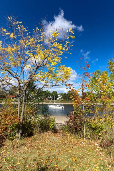 Bright Yellow Foliage Distant Boat Lake Canada — ストック写真