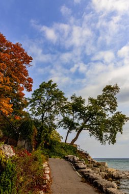 Renkli yapraklarla dolu dar bir yol - Orta Kanada 'da sonbahar, on