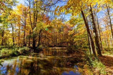 Nehrin kenarında Ormanın içinde, Orta Kanada, On, Kanada