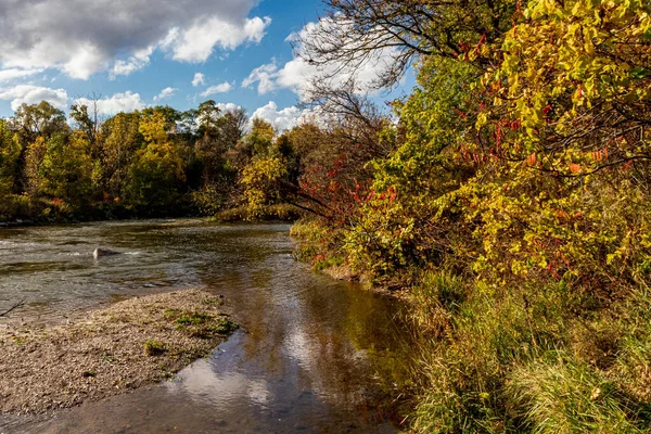 Schöner Herbsttag Flussufer Herbst Central Ontario Kanada — Stockfoto