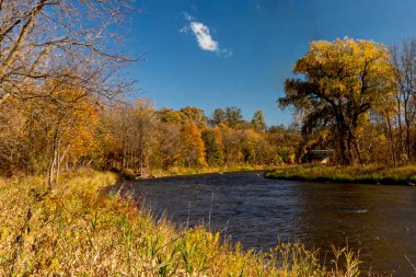 Güzel nehir kenarı - Credit Nehri Sonbaharda - Orta Kanada 'da güzel sonbahar