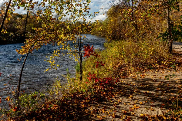 Dem Fluss Nahe Kommen Schöner Fall Zentralkanada — Stockfoto