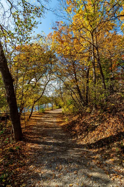 Passarela Agradável Junto Rio Bela Queda Centro Canadá — Fotografia de Stock