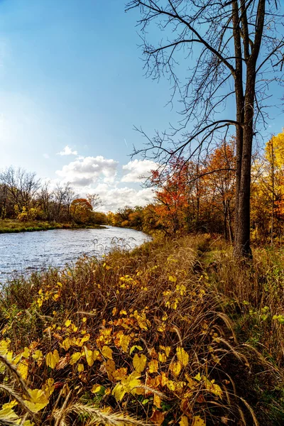 Nehir Kıyısında Yeşilliklerin Altın Rengine Dönmesi Orta Kanada Güzel Bir — Stok fotoğraf