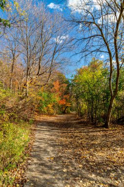 Nehir kenarında güzel bir sonbahar akşamı Orta Kanada 'da güzel bir sonbahar