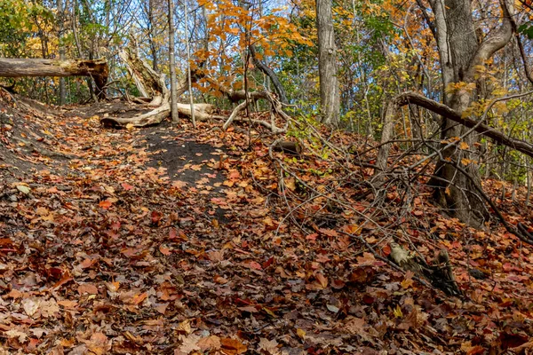 Nehir Kıyısında Küçük Bir Tepe Orta Kanada Güzel Bir Sonbahar — Stok fotoğraf