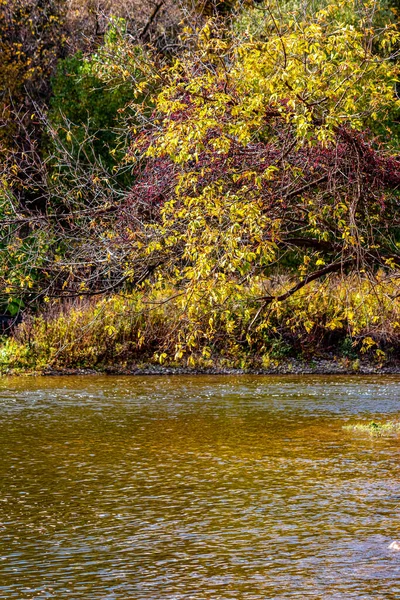 The color of the water changes based on the foliage - Beautiful fall in Central Canada