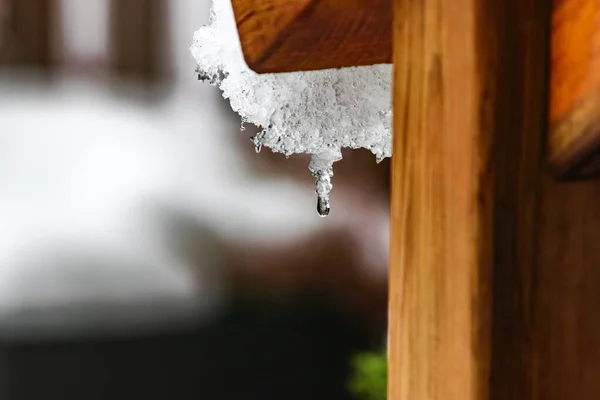 İşte kar fırtınadan sonra böyle erir, Kanada