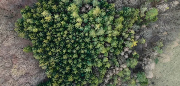 Aerial Drone Image Vienna Woods — Stock Photo, Image