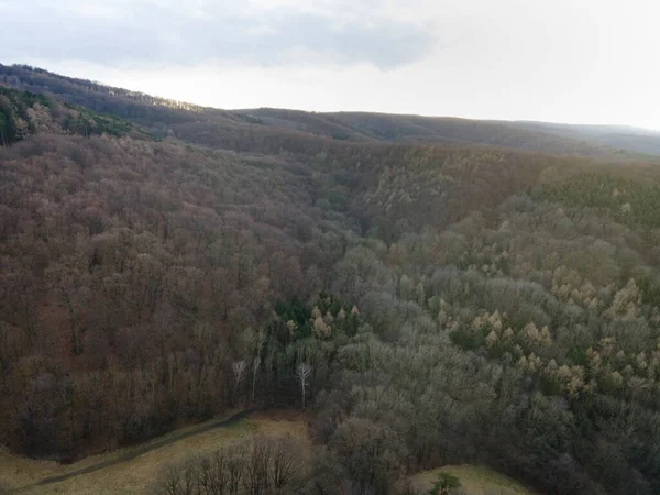 Drohnenbild Des Wienerwaldes — Stockfoto