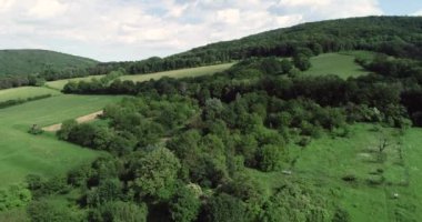 Yeşil tepeler, yeşil ormanlar, Aşağı Avusturya 'daki küçük köyler üzerinde insansız hava aracı uçuşu