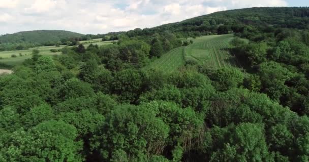 Drone Volo Verdi Colline Foreste Verdi Piccoli Villaggi Nella Bassa — Video Stock