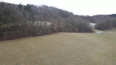 Kış ormanının hava aracı görüntüsü 