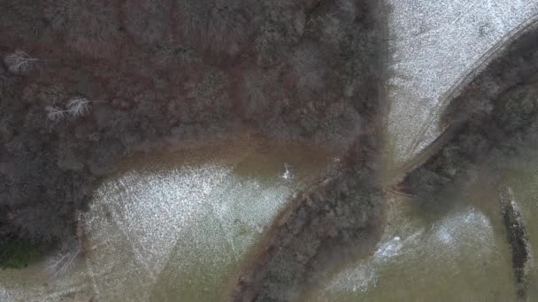 Imagem Aérea Drone Floresta Inverno — Vídeo de Stock