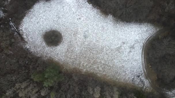 Imagen Aérea Del Dron Del Bosque Invierno — Vídeos de Stock