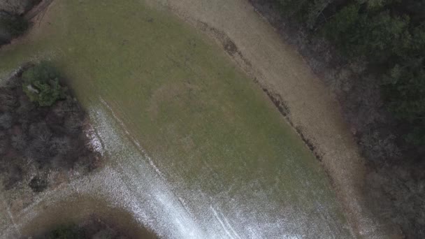 Imagem Aérea Drone Floresta Inverno — Vídeo de Stock