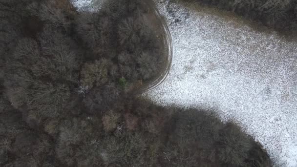 image aérienne de drone de forêt d'hiver 