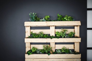 Bir sürü yeşil bitkisi olan sürdürülebilir, modern bir ekolojik iş yerinin iç çekimleri.