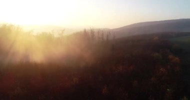 Hava aracı sisin içinden küçük bir orman bölgesindeki güneşin doğuşuna doğru uçuyor.