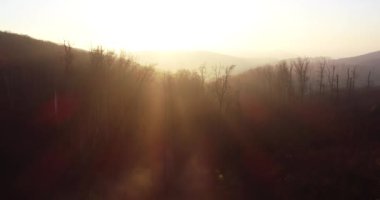 Hava aracı sisin içinden küçük bir orman bölgesindeki güneşin doğuşuna doğru uçuyor.