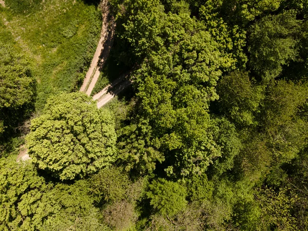 Αεροφωτογραφία Πτήσης Drone Πράσινων Λόφων Λιβαδιών Και Φρέσκων Δασών Στην — Φωτογραφία Αρχείου