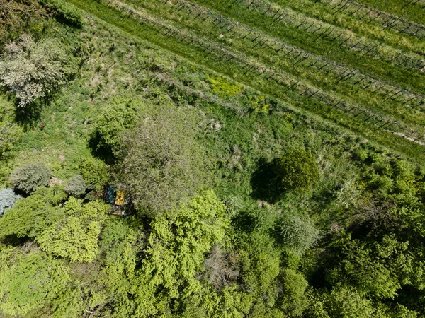 Luftaufnahme Von Grünen Hügeln Wiesen Und Frischem Wald Niederösterreich Rande — Stockfoto