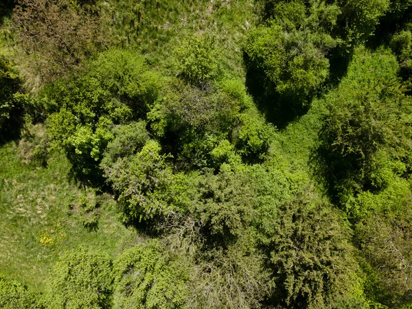 Αεροφωτογραφία Πτήσης Drone Πράσινων Λόφων Λιβαδιών Και Φρέσκων Δασών Στην — Φωτογραφία Αρχείου