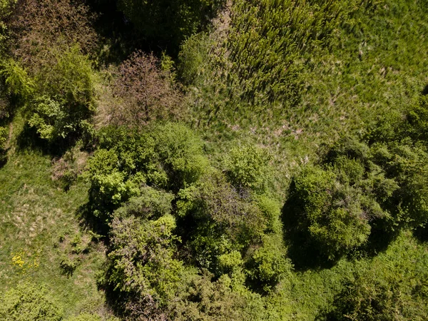 Aerial Drone Flight Photo Green Hills Meadows Fresh Forest Lower — Stock Photo, Image