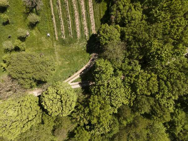 Aerial drone flight photo of green hills, meadows and fresh forest in Lower Austria at the edge of Vienna Woods