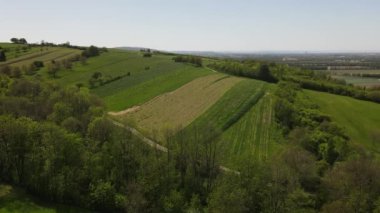 Viyana Ormanı 'nın kenarındaki yeşil tepeler, çayırlar ve Aşağı Avusturya' daki taze ormanın insansız hava aracı uçuş videosu.