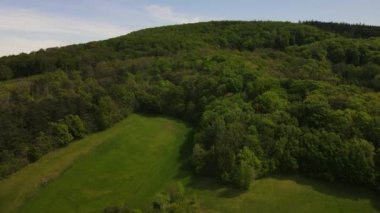 Viyana Ormanı 'nın kenarındaki yeşil tepeler, çayırlar ve Aşağı Avusturya' daki taze ormanın insansız hava aracı uçuş videosu.