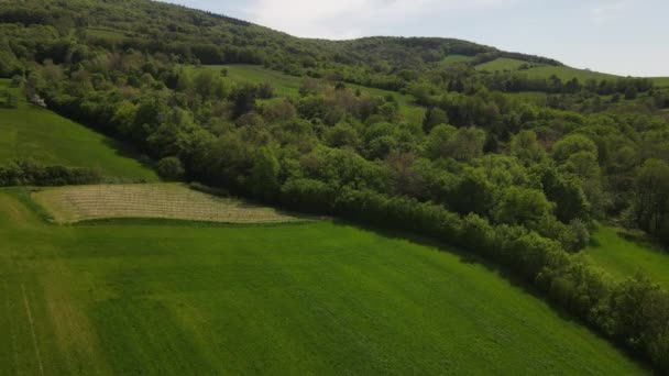 Vôo Aéreo Drones Vídeo Colinas Verdes Prados Florestas Frescas Baixa — Vídeo de Stock