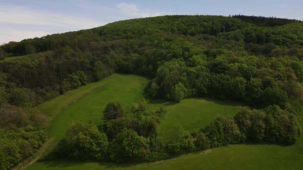 Wideo Lotu Drona Zielonych Wzgórz Łąk Świeżych Lasów Dolnej Austrii — Wideo stockowe