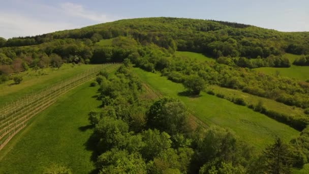 Aerial Drone Flight Video Green Hills Meadows Fresh Forest Lower — Stock Video