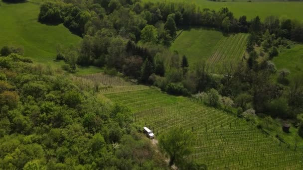 Vôo Aéreo Drones Vídeo Colinas Verdes Prados Florestas Frescas Baixa — Vídeo de Stock