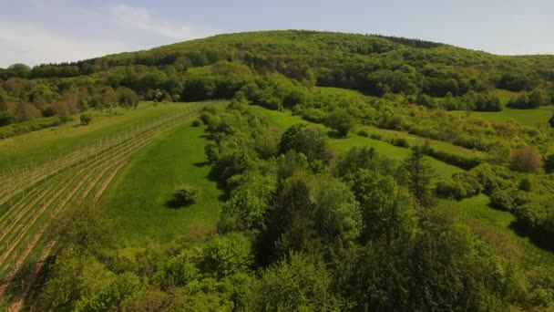 Vôo Aéreo Drones Vídeo Colinas Verdes Prados Florestas Frescas Baixa — Vídeo de Stock