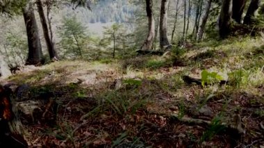 Avrupalı adam geleneksel Japon Shugendo kıyafeti ve dikiz görüşüyle meditasyon yapıyor. 
