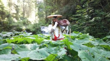 Sakallı Avrupalı bir adam doğada geleneksel Japon, Shugendo kıyafetleriyle meditasyon yapıyor.