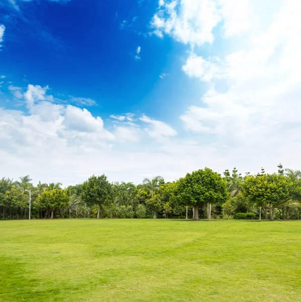 Зеленый парк с голубым небом — стоковое фото
