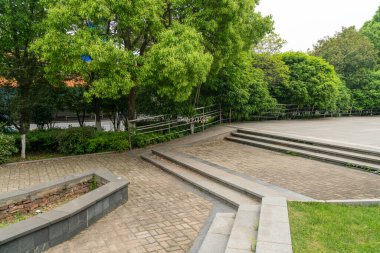 Güneşli günlerde parkların ağaçları