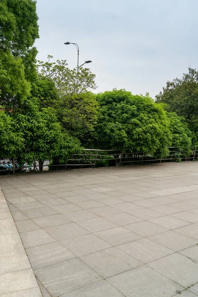 Güneşli Günlerde Parkların Ağaçları — Stok fotoğraf