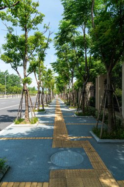 Modern şehirde yürüyüş yolu