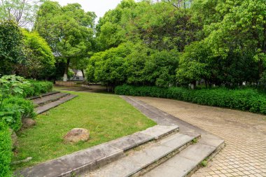 Güzel ve rahat bir bahçede, boş bir sokak. Güzel mavi gökyüzünün altında.