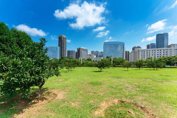 Parque Ciudad Con Fondo Del Edificio Moderno Shangai —  Fotos de Stock